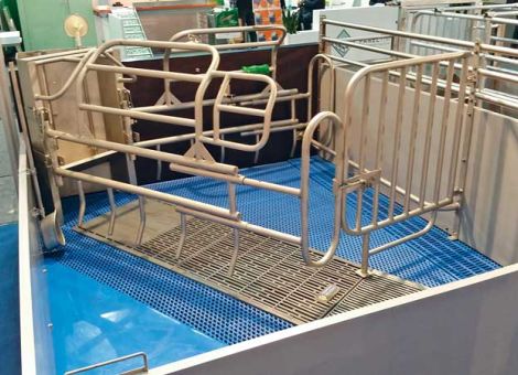 Bewegungs- und Freilaufbuchten für Sauen