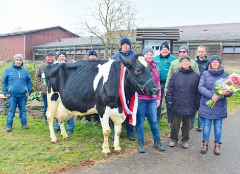 Auf dem Milchviehbetrieb der Familien Manfred und Michael Gemmer aus Romrod im Vogelsbergkreis fand kürzlich eine kleine Feier­stunde statt, weil die Holsteinkuh Lucy als zweite Kuh der Herde die hohe Gesamtlebensleistung von 100 000 Liter Milch überschritten hat. Die Jubilarin Luci ist 2006 geboren und stammt auf der väterlichen Seite von dem Besamungsbullen Lucky Mike ab. Ihre Mutter ist eine Pedant-Tochter. Luci ist eine sehr leistungsbereite Kuh und hat die 100 000 Liter Milch mit einer hohen durchschnittlichen Milchleistung von 11 322 kg Milch mit 4,30 Prozent Fett und 3,51 Prozent Eiweiß in nur 8,7 Jahren erreicht. In der ersten Lakta­tion wurde sie im Rahmen der Nachzuchtbewertung mit 83-86-84-83=84 Punkten hoch eingestuft. Lucy hat bisher siebenmal gekalbt. Es waren sechs Bullenkälber und ein Kuhkalb. Lucy ist eine problemlose Kuh, die mit viel Milchtyp korrek­tem Körperbau und sehr gutem Fundament auch heute noch zu ge­fallen weiß. Rinderzuchtbe­rater Wilhelm Vackiner vom Landesbetrieb Landwirtschaft Hessen unterstrich die Bedeutung langlebiger Kühe für die Wirtschaftlichkeit der Milchproduktion. Die Glückwünsche der Berufskollegen aus dem Vogelsbergkreis überbrachte der stellvertretende Vorsitzende der Bezirksgruppe Michael Semmler aus Stumpertenrod. Seitens des HVL gratulierte die Fütterungsberaterin Heike Reichenbach. Text/Foto: Wilhelm Vackiner, LLH Alsfeld