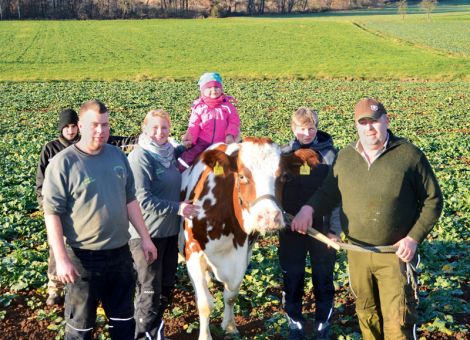 Die Adressen der Betriebe, die das erste Mal eine Kuh mit über 100 000 Liter Milch Lebensleistung vorstellen konnten, wurden kürzlich um den Betrieb von Jörg und Sabine Schlosser in Nieder-Ohmen ergänzt. Dort überschritt die rotbunte Elli zwölfjährig, nach einer Durchschnittsleistung von 10 338 - 4,13 - 3,21, vor einiger Zeit die markante Lebensleistungsgrenze. „Wir sehen uns eigentlich nicht vorrangig als Zuchtbetrieb“, so Jörg Schlosser, „und sind noch nicht sehr lange der Milchleistungsprüfung angeschlossen. Umso mehr freut es uns, dass wir bereits jetzt eine Kuh mit über 100 000 Liter Milch vorstellen können.“ Der Boxenlaufstall, außerhalb des Dorfes, wurde inzwischen erweitert und der Strohbe­reich für die frischmelkenden Kühe tut besonders den älteren Kühen gut. Gleichzeitig legt die Familie Schlosser Wert darauf, dass auch Elli während des gesamten Jahres genauso in der Herde läuft wie alle anderen Kühe auch und wegen ihrer Anpassungsfähigkeit und Vitalität die 100 000-Liter-Grenze geschafft hat. Von der Mobi­li­­tät der leistungsstarken Kuh konnten sich auch die Besucher bei der Ehrung ein Bild machen: Der für sie vorgesehene Platz auf dem Feldweg gefiel der Kuh nicht, daher stand sie relativ schnell auf dem Rapsacker und hat sich dort mit der engagierten Familie ablichten lassen. Text/Foto: Jost Grünhaupt, LLH Kassel