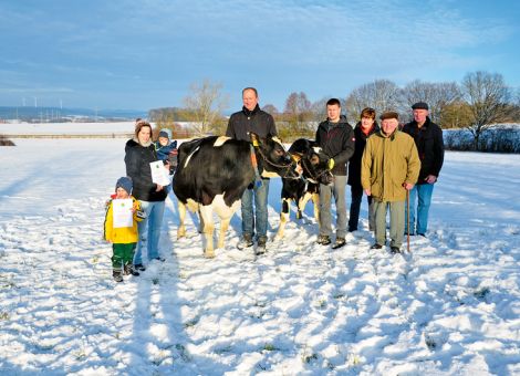 Auf dem Lanneshof der Familie Schneider in Fulda fand die Vorstellung von zwei 100 000-Liter-Kühen mit Nr. 326 GP 80 (V: Emory) und Nr. 262 (V: Good Luck) statt. Stefan Schneider wies darauf hin, dass bereits sein Großvater Erwin Schneider im Jahr 1970 eine Kuh mit 100 000 Liter Milch präsentieren konnte. Sie war damals die Erste im Landkreis Fulda und in dieser Phase war die Anzahl der Kühe mit dieser Lebensleistung insgesamt äußerst gering. Der auf dem Lanneshof errichtete Boxenlaufstall wurde inzwischen in mehreren Stufen erweitert und die Milchviehherde wird seit einiger Zeit automatisch gemolken. Das Leistungsbild der Kuh Nr. 262 liegt mit 9 257 - 4,36 - 3,46 bei zehn Abkalbungen in einem soliden Bereich, ohne auffallende Höchstleistungen über die Jahre. Mit absoluter Konstanz hat die Kuh, von der auch vier Töchter im Bestand sind, auf sehr gutem Niveau produziert. Deutlich höher ist die Leistung der Herdengefährtin Nr. 326, die bei acht Abkalbungen mit 11 796 - 3,58 - 3,22 gelistet ist und bei dieser sehr hohen Leistung eine auffallend kurze Zwischenkalbezeit nachweisen kann. Die optimale Versorgung der Kühe, die man sehr schnell erkennen kann, hat sicherlich maßgeblich dazu beigetragen. Beide Kühe präsentierten sich in der winterlichen Sonne sehr fit mit einem tadellosen Erscheinungsbild in allen wesentlichen Körper- und Eutermerkmalen. Text/Foto: Jost Grünhaupt, LLH Kassel