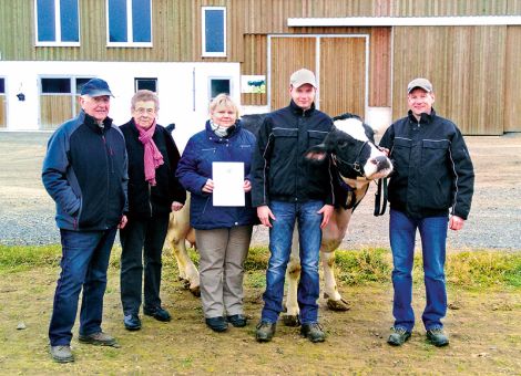 Auf dem aktiven Zuchtbetrieb der Familie Sölzer in Gudensberg wurde kürzlich mit der Juote-Enkelin Nele die zweite Kuh mit einer Lebensleistung von über 100 000 kg Milch vorgestellt. Die elfjährige Kuh kann bei acht Abkalbungen mit einem Durchschnitt von 11 747 - 4,04 - 3,49 ein konstant hohes Leistungsniveau nachweisen und ihr Zuchtwert liegt auch heute noch über 100. Dabei hat die Kuh die komplette Entwicklung auf dem Hof am Ortsrand in Gudensberg mit vollzogen, als die Herde vor einiger Zeit in den neuen Laufstall mit zwei Melkboxen umgezogen ist. „Diese Phase“, fassen Jörg und Christoph Sölzer ihre Erfahrung zusammen, „war für unsere Herde insgesamt kein Problem und das gleiche trifft auch für Nele zu, obwohl sie zu der Zeit schon zu den älteren Kühen zählte. Die Betreuung der Milchkühe ist durch das automatische Melken deutlich flexibler geworden, das ist auf unserem Hof mit dem Ackerbau als zweiten Schwerpunkt ein großer Vorteil.“ Viele Kunden aus Gudensberg und dem Umland haben im letzten Jahr Milch von Nele getrunken, denn auf dem Hof wurde vor einiger Zeit eine Milchtankstelle eingerichtet. Grünhaupt, LLH Kassel