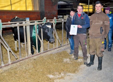 Auch anlässlich der abschließenden Bezirksversammlung, die für die Region Limburg/Taunus auf dem Betrieb der Familie Höhler in Brechen stattfand, konnte eine aktuelle 100 000 Liter-Kuh präsentiert werden. Erst neunjährig hat die Finley-Tochter HLB Minfi VG89 die Leistungsgrenze von 100 000 kg Milch überschritten und gehört zu den wenigen Kühen, die eine durchschnittliche Leistung pro Futtertag von über 40 kg Milch nachweisen können; der Durchschnitt bei sechs Laktationen ist mit 14 628 – 3,35 – 3,29 ausgewiesen und die Kuh hat heute noch einen RZG von 122. Dieses Leistungspotenzial ist auch über die Mutterseite abgesichert, denn vor HLB Minfi steht eine sechskalbige Ramos-Tochter, die ebenfalls im Durchschnitt über 11 000 kg Milch produziert hat. „Erfreulicherweise“, so fasst Angelika Höhler ihre Erfahrung zusammen, „hat Minfi mehrere Töchter geliefert und die Älteste liegt auch schon bei über 60 000 kg Milch. Außerdem hat sie auch bei hohen Tagesleistungen nie Probleme mit dem Stoffwechsel oder anderen Begleiterscheinungen gehabt.“ Somit sind hier sehr gute Voraussetzungen gegeben, dass sich auf dem Lindenhof diese sehr leistungsbereite Kuhfamilie auch in Zukunft noch stärker in der Herde wiederfinden lässt. Zu dieser 100 000 Liter-Kuh hat sicher das erstklassige Herdenmanagement auf dem Hof beigetragen, der heute zu den größten Milchviehhaltern in Hessen zählt.Grünhaupt, LLH Kassel