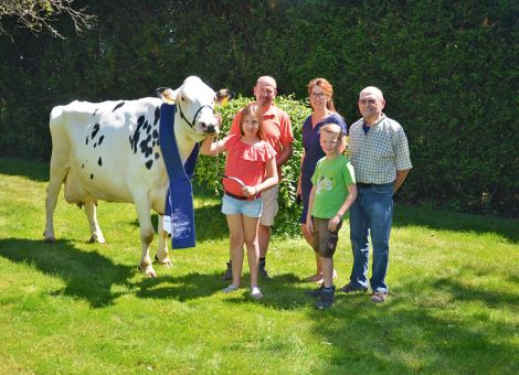 In beeindruckender Manier konnte die Familie Breithecker in Ellar auf dem Weidehof die September-Tochter Clarina VG 85 exakt zehnjährig nach Überschreiten der 100 000-Liter-Grenze vorstellen. Die großrahmige, lange Kuh zeigt auch bei ihrer enormen Leistungsfähigkeit mit einem Durchschnitt von 13 212 - 2,97 - 3,10 nach wie vor ein hochaufgehangenes, gleichmäßiges Euter und ist ohne Weiteres ausstellungsfähig. „Dabei haben wir die Kuh nie in Steinbach oder Dauborn gezeigt, meistens war sie in einer ungünstigen Laktationsphase oder es waren zu der Zeit geschicktere Kühe da, für die wir uns entschieden haben“, so Norbert Breithecker. Gleichzeitig ist Clarina ein sehr gutes Beispiel für den auf dem Betrieb Breithecker angestrebten Kuhtyp mit enormem Leistungspotenzial und herausragendem Exterieurstandard, den der Betrieb nicht nur in seiner Heimatregion, sondern auch bei Hessens Zukunft in Alsfeld immer wieder gezeigt hat. Der 1a-Platz für seine Julandy-Tochter auf der DHV-Schau ist ein weiterer Beleg für die erstklassige Qualität der Herde. An der Basis von Clarina steht eine im Januar 1981 erworbene Afro-Tochter und die 100 000 kg stellen das Ergebnis einer züchterischen Selektion von über 35 Jahren dar.
Text/Foto: Jost Grünhaupt, LLH Kassel