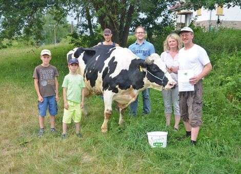 Als zweite Kuh überschritt die Minz-Tochter Mary GP82 im Betrieb von Thomas Henkel in Rommerz die 100 000-Liter-Grenze. Thomas Henkel ist sich sicher, dass in erster Linie die Vitalität und Robustheit der Kuh dazu geführt hat, dass sie so lange auf hohem Niveau Milch produziert hat. „Sie war längere Zeit die dominanteste Kuh in unserer Herde und nur solche Tiere sind zu absoluten Dauerleistungen fähig“, ist die Überzeugung des Betriebsleiters. In einem Betrieb mit mehreren Standorten und diversen Produktionszweigen wie es bei Thomas Henkel der Fall ist, ist es sicher umso bemerkenswerter, wenn eine Kuh die 100 000-Liter-Grenze überschreitet. Aus diesen Gründen setzt der Betriebsleiter künftig noch mehr auf Kühe mit der notwendigen Stabilität und Robustheit, die für ihn besonders wichtig sind. Text/Foto: Jost Grünhaupt, LLH Kassel