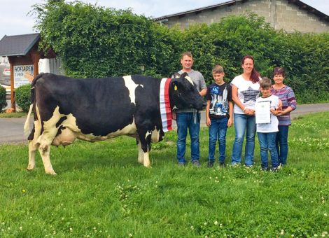 Im Betrieb der Familie Timo und Elke Velte in Kefenrod-Bindsachsen hat vor einiger Zeit die Juror-Enkelin Do 589 die 100 000-Liter-Grenze überschritten und dieses in erster Linie durch ihre Konstanz in der Produktion erreicht. Bei neun Abkalbungen liegt der Durchschnitt bei 9 385 - 4,32 - 3,29 und die Höchstleistung nach der siebten Kalbung erreichte über 12 000 kg Milch. Auffallend ist das sehr korrekte Erscheinungsbild dieser 13-jährigen Kuh, die hinsichtlich Körperbau, Fitness und Qualität des Euters nach wie vor die Ansprüche einer problemlosen Laufstallkuh erfüllt. Damit passt sie voll und ganz in das Anforderungsprofil der Familie Velte, die hofft, dass die Nachzuchten von Do 589 auch wiederum möglichst hohe Lebensleistungen erbringen. Die notwendigen Voraussetzungen hinsichtlich des Herdenmanagements sind voll und ganz gegeben, so dass auch vom Betrieb Velte weitere Kühe mit den besten Dauerleistungen in Zukunft zu verzeichnen sein werden. 
Text: J. Grünhaupt, LLH Kassel, Foto: A. Lohrey, LLH Wächtersbach