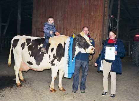 Auf ein sehr tiefes, kanadisches Pedigree geht die mit einer Lebensleistung von über 100 000 kg Milch vorgestellte EHS Eileen VG 87 zurück, die auf dem Hof der Familie von Martin Biederbick in Sudeck präsentiert wurde. Ganz sicher ist sie eine der seltenen Töchter des mit Rotfaktor versehenen Blackstar-Sohnes Elegant, die diese Leistung geschafft hat. Großen Einfluss hat sicherlich ihre Mutter, die Boy George-Tochter Benta EX91 gehabt, die ebenfalls mit sieben Abkalbungen über 100 000 Liter Milch geleistet hat und als eine echte Stammkuh in der Biederbick´schen Herde zu bezeichnen ist. Mehrere Nachkommen von dieser Kuh waren erfolgreiche Schaukühe und vertraten die heimatliche Adresse unter anderem auch auf der DHV-Schau in Oldenburg. Das Erscheinungsbild von EHS Eileen, die bei elf Abkalbungen mit einer Durchschnittsleistung von 9 925 - 4,24 - 3,14 gelistet ist, ähnelt sichtbar ihrer Mutter, speziell das hervorragende Seitenbild und das im hohen Alter noch sehr gleichmäßige Euter unterstreichen die Qualität der Kuh. EHS Eileens Nachkommenschaft ist in der Herde gut vertreten und wird dazu beitragen, dass diese Kuhfamilie, die seit fünf Jahren automatisch gemolken wird, weiterhin auf dem Erlenhof dominiert. Text: Grünhaupt, LLH Kassel; Foto: privat