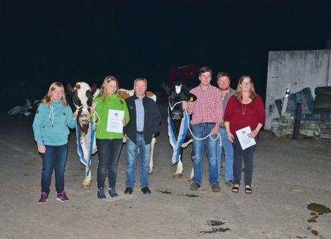 In den letzten Jahren konnten Karl Friedrich und Bernd Meier aus Wetterburg mehrere Kühe mit Lebensleistungen von über 100 000 kg Milch präsentieren und mit der Vorstellung der Kühe Eiche und Birgit gehören sie jetzt auch zu den Betrieben, die zehn Kandidatin­nen mit dieser herausragenden Lebensleistung nachweisen können. Mit einer Durchschnittsleistung von 9 400 - 4,44 - 3,53 bei elf Abkal­bungen hat die Bacculum-Tochter Eiche VG 86 konstant auf hohem Niveau produziert und ihre Inhaltsstoffe liegen weit über dem Mittel. Auffallend ist auch die gute Fruchtbarkeit der Kuh: alle Abkalbungen fanden jeweils zwölf bis dreizehn Monate nach dem vorjährigen Termin statt. Da fünf Töchter in der Herde geblieben sind, wird die Mutterlinie auch in den nächsten Jahren im Bestand vertreten sein. Auch sehr frisch und unverbraucht zeigte sich ihre Herdengefährtin Birgit VG 88 (GV: Champion), deren Durchschnittsleistung bei 11 240 - 3,94 - 3,32 liegt. Ihre Leistungsfähigkeit hat sie offensichtlich von ihrer Mutter Bea mitbekommen, die ebenfalls bei neun Abkalbungen mit einem Durchschnitt von über 10 000 kg Milch gelistet ist. Der Fortbestand der Kuhfamilie ist über ihre Töchter gesichert und der neue Besitzer ihres Epic-Sohnes, der erst vor kurzem den Betrieb verlassen hat, hofft natürlich auf viele langlebige, leistungsstarke Nachkommen von ihm. Auch auf dem Wetterburger Lindenhof haben diese zwei 100 000-Liter-Kühe maßgeblich dazu beigetragen, dass der Betrieb in den zurückliegenden Jahren konstant zu den aktivsten Beschickern mit abgekalbten Kühen auf dem Auktionsplatz Alsfeld zählen konnte. Text/Foto: Grünhaupt, LLH Kassel