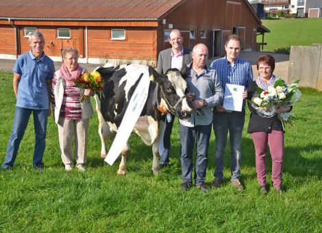 Familie Schmitt in Weidenau konnte kürzlich ihre erste 100 000-Liter-Kuh vorstellen. Die Erich-Tochter Zensi hat am Anfang der neunten Laktation diese Grenze überschritten und zeichnet sich mit einem Durchschnitt von 10 259 - 4,59 - 3,36 vor allem durch die für Lebensleis­tungskühe sehr hohen Fettprozente aus. Die Durchschnittsleistungen lagen ab der dritten Kalbung auf einem sehr ausgewogenen Niveau um 11 000 kg Milch. Letztlich ist das Überschreiten der 100 000-Liter-Grenze der Kuh Zensi eine Leistung der gesamten Familie, betont Harald Schmitt bei der Vorstellung seiner Kuh. Auch der Tierarzt habe einen maßgeblichen Teil dazu beigetragen, da er die Milchviehbehandlung bei einer früheren Abkalbung mit offensichtlich gut sichtbarem Erfolg umgesetzt hat. Leider gibt es nur sehr wenig weibliche Nachzucht von Zensi, so dass ihre Genetik in der Herde künftig nur schwach vertre­ten sein wird. Dabei hat sich die Familie Schmitt für die Zukunft klar positioniert und einen Neubau für Kälber- und Jungviehaufzucht und Rindermast in Kombination mit Mutterkuhhaltung geschaffen. Das Platzangebot wird dadurch in allen Bereichen sichtbar größer und dieses wird sich sicherlich auch positiv auf die Lebensleistung in der Milchviehherde auswirken. Text/Foto: Jost Grünhaupt, LLH, Kassel