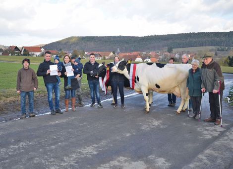 In bester Manier präsentierte die Familie Raude aus Altendorf ihre zwei aktuellen 100 000-Liter-Kühe, die beide auf sehr hohem Niveau produziert haben. In einem fast jugendlichen Erscheinungsbild stand die Minister-Tochter Luna VG 85 auf dem Hof, eine noch enorm frisch wirkende Kuh, die bei acht Abkalbungen mit einer Durchschnittsleistung von 11 890 - 3,39 - 3,10 in den Listen geführt wird und darüber hinaus auch in der eigenen Fruchtbarkeit bei dieser hohen Milchleistung beste Werte nachweisen kann (die Zwischenkalbezeit lag fast immer unter 400 Tagen). Das gleiche gilt auch für die Lukas-Tochter Waage GP 82, die erst im kommenden Sommer zehn Jahre alt wird und mit einer Durchschnittsleistung von 12 288 - 3,94 - 3,05 in der MLP geführt wird. Wenn bei Laktationsleistungen zwischen 11 000 und 14 000 kg Milch die Zwischenkalbezeit auch auf dem vergleichbar günstigen Niveau liegt, spricht das nicht nur für die Fruchtbarkeit der Kühe, sondern auch für die optimale Betreuung auf dem Hof der Familie Raude, denn sonst ist dieses Bild bei Leistung und Fruchtbarkeit nicht möglich. Sehr erfreulich ist, dass von beiden Dauerleistungskühen mehrere Töchter im Betrieb geblieben sind und eventuell mit dazu beitragen, dass die Liste der Kühe mit über 100 000 kg Milch auf dem Schladenhof in Altendorf in den kommenden Jahren weitergeführt wird.Grünhaupt, LLH Kassel