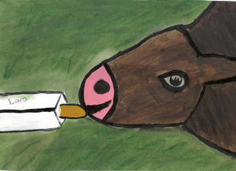 Hier wird gerade ein Kälbchen gefüttert. Lara (12 Jahre) aus Hauptschwenda hat dieses tolle Kunstwerk für die Kinderseite gemalt.
