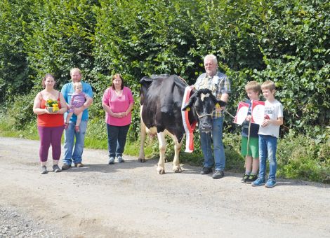 Der Milchviehbetrieb der Familie Schüler im Brensbacher Ortsteil Wallbach: Dies ist die Heimatadresse der Citrus-Tochter Rosali, die als dritte Kuh mit einer Lebensleistung von über 100 000 kg Milch dort vorgestellt werden konnte. Zahlreiche Gäste, unter ihnen der Bürgermeister der Gemeinde Brensbach, aber auch Geschäftspartner waren zur Ehrung erschienen und Willi Schüler gab zunächst einige Erläuterungen über das lange produktive Leben der Kuh Rosali, die mit einer Durchschnittsleistung von 10 192 - 4,28 - 3,44 gelistet ist und aktuell schon mehr als 121 000 kg Milch produziert hat. Leider ist die weibliche Nachzucht aus den verschiedensten Gründen relativ knapp ausgefallen. Die Kuh zeigte sich noch in hervorragender Verfassung und ist mit einem sehr korrekten Körperbau, einer tiefen Rippe und vor allem nach wie vor gutsitzenden, drüsigen Euter ausgestattet. „Kennzeichnend für das Durchsetzungsvermögen der rüstigen alten Dame ist die Tatsache, dass sie zwar zu Beginn der Melkzeit sofort im Warteraum steht, aber erst in der letzten Gruppe den Melkstand betritt – alles andere passt ihr nicht“, fasst Willi Schüler seine Erfahrung zusammen, „und wenn sie jetzt nach der Präsentation wieder in die Herde geht, wird sie dort ihre führende Position im Gefüge der Herde sofort wieder zeigen.“ Die konstante Weiterentwicklung der Milchviehhaltung auf dem Hof der Familie Schüler und die Schritte zur Erweiterung der Stallungen lassen erwarten, dass auch in Zukunft weitere Kühe mit sehr hohen Lebensleistungen auf diesem Hof vorgestellt werden können.Grünhaupt, LLH Kassel