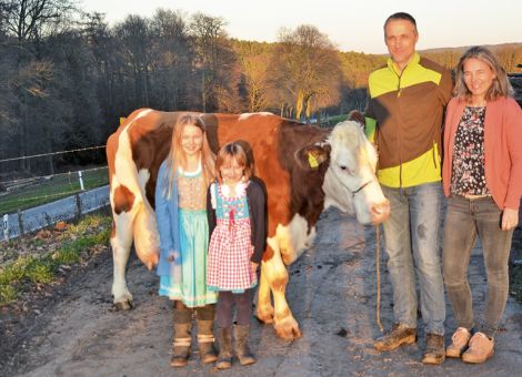 Auf dem Windhof im Höchster Ortsteil Annelsbach wird von der Familie Grulich seit langen Jahren aktiv und erfolgreich Fleckviehzucht betrieben. Schon etwas Besonderes ist es für die komplette Familie, dass vor kurzem die Joblandin-Tochter Bless mit 16 Jahren die 100 000-Liter-Grenze überschreiten konnte. Seniorchef Werner Grulich, der über viele Jahre im Odenwald als Besamungstechniker unterwegs war, fasst seine Eindrücke zusammen: „Die Kuh war immer total unauffällig und hat Jahresleistungen zwischen 7 500 und 8 000 Liter Milch mit guten Inhaltsstoffen erbracht. Als sie dann über 80 000 Liter Lebensleistung hatte, war der Ansporn da, sie auch bis zur 100 000- Liter-Grenze hin im Betrieb zu haben. Das ist uns gelungen.“ Sicherlich war der Weidegang, der auf dem Hof möglich ist, ein Vorteil. Aber vor allem die gute Fruchtbarkeit der Kuh, die konstant im Frühjahr gekalbt hat, ist der Hauptschlüssel zu diesem züchterischen Erfolg. Leider ist die Nachzucht auf dem Hof relativ knapp vertreten, da viele Bullenkälber geboren wurden und auch Verkäufe bei den Töchtern anfangs vorgenommen wurden. „So eine Kuh ist schon etwas Besonderes“, fasst die gesamte Familie ihre Eindrücke zusammen und freut sich jetzt auf das 15. Kalb, welches im kommenden Frühjahr auf die Welt kommen soll.Text und Foto: Grünhaupt, LLH Kassel