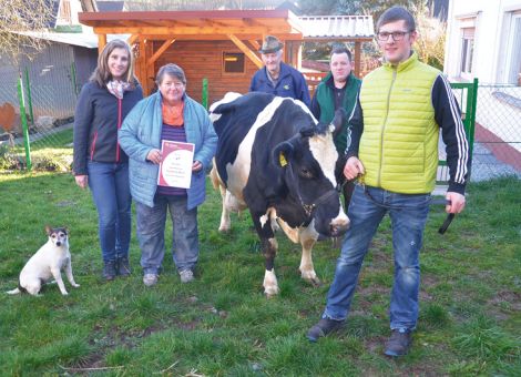 Die Präsentation der Lomo-Tochter Heidi, die vor kurzem die 100 000-Liter-Grenze überschritten hat, ist für den Holstein-Zuchtbetrieb Faupel in Niederjossa schon etwas Besonderes, da sind sich alle Familienmitglieder einig. Heutzutage, so Seniorchef Georg Faupel, sind wir mit unserem Anbindestall eine Minderheit. Umso mehr freut sich die Familie über die 100 000 kg Kuh. Mit absoluter Konstanz hat Heidi bei neun Abkalbungen und einer Durchschnittsleistung von 10 951 - 3,94 - 3,35 ihre Leistung erbracht und kann als unauffällige Kuh bezeichnet werden. Diese Linie existiert schon seit der Aussiedlung vor 60 Jahren auf dem Betrieb und im Jungviehstall sind Tiere in den verschiedenen Altersgruppen aus der Kuhfamilie von Heidi zu finden. Die merkliche Passion für die Milchviehhaltung ist bei allen Familienmitgliedern festzustellen und erst vor kurzem hat Florian Faupel ein Jungrind, das wegen des genomischen Tests interessant ist, erworben, mit dem er nach der Abkalbung im kommenden Herbst gern mal bei Zukunft Rind teilnehmen würde. Insgesamt ist die Präsentation der 100 000- Liter-Kuh Heidi auf dem Hof Faupel in Niederjossa ein sehr gutes Beispiel dafür, dass züchterisches Engagement und die notwendige Passion dafür nicht an eine bestimmte Herdengröße gebunden sind.Text/Foto: Grünhaupt, LLH Kassel