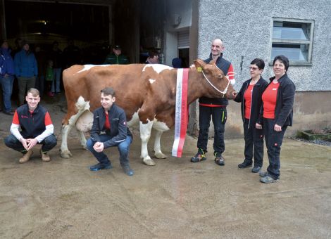 Auf dem Hof von Jürgen und Astrid Schneider in Reichelsheim  Ober-Kainsbach wurde die Lentano-Tochter Alfa nach Überschreiten der 100 000-Liter-Grenze mit einer Durchschnittsleistung von 11 048 - 3,61 - 3,23 einer großen Zahl von Gästen präsentiert. Dabei wies Jürgen Schneider, der vielen Landwirten als Zuchtinspektor bei der Qnetics GmbH bestens bekannt ist, nicht nur auf die Leistungsfähigkeit, sondern auch die guten Gebrauchseigenschaften von Alfa hin. 
Vom Erscheinungsbild her zeigt sie durchaus Ähnlichkeiten, die von ihrem Vater Lentano und dem Großvater Lentini abzuleiten sind. Eine Reihe von Entwicklungsschritten, die in den vergangenen zwölf Jahren auf dem Hof umgesetzt wurden, hat die Kuh miterlebt. Alle drei Generationen der Familien Schneider und Bär freuen sich darüber, dass von Alfa einiges an weiblicher Nachzucht vorhanden ist, und damit die überlegenen Eigenschaften der Kuh auch in der Herde weiter gefestigt werden. Das ist sicher ein klarer Vorteil für die kommenden Projekte, die auf dem Hof umgesetzt werden sollen.
Text/Foto: Grünhaupt, LLH Kassel