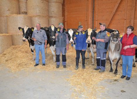 Fünf 100 000-Liter Kühe im Betrieb Behrend in Langenthal - Neue Marke in Sachen Lebensleistung gesetzt.
Schon sehr lange ist der Zuchtbetrieb der Familie Behrend im nordhessischen Langenthal in der Liste der Betriebe mit 100 000 Liter-Kühen vertreten, eine beachtliche Zahl an Kühen aus diesem Betrieb hat diese Grenze überschritten. Mit dem aktuellen Quintett an Lebensleistungskühen hat die Familie Behrend ganz sicher eine neue Marke gesetzt.  
Aktuell steht mit der Rudolph-Tochter Zeila VG 85 die älteste Milchkuh Hessens auf dem Betrieb, die einzige vor der Jahrtausendwende geborene Milchkuh im Land Hessen. Die aktuelle Lebensleistung beträgt 194 860 Liter Milch und durch die Inhaltsstoffe (4,54 – 3,27) hat sie vor einigen Monaten die Schallmauer von 15 000 kg Fett und Eiweiß durchbrochen. Damit ist sie derzeit die nationale Spitzenkuh nach Lebensleistung bei der Fett- und Eiweißmenge. Mit einer bewundernswerten Konstanz hat diese Kuh im Laufstall ihre Milch gegeben und liegt heute noch bei einer durchschnittlichen Leistung von 29 kg pro Futtertag. Über viele Jahre ist sie vergleichsweise unauffällig in der Herde präsent gewesen und auch die extremen Belastungen der Hitzeperioden in den letzten zwei Sommern hat sie problemlos weggesteckt, wenn man ihr zu der Zeit schon sehr hohes Lebensalter betrachtet. Für Karl-Heinz und Rainer Behrend ist es schon schade, dass es nicht allzu viel an Nachzucht dieser absoluten Ausnahmekuh auf ihrem Hof gibt. Mit dem Mutter-Tochter-Paar Zita VG 87 und Zilla VG 85 kommt eine weitere Rarität hinzu, denn beide Kühe haben nicht nur schon länger die 100 000 Liter-Grenze überschritten, sondern haben auch aufgrund der sehr guten Milchinhaltsstoffe zusammen über 20 000 kg Fett und Eiweiß produziert. Mit einem Durchschnitt von 10 415 – 4,96 – 3,65 hat die Zenith-Tochter Zita gewaltige Maßstäbe definiert und ihre Tochter Zilla (GV: Laudan) hat diese Veranlagung mit einem Durchschnitt von 11 482 – 4,65 – 3,60 übernommen. Da vor Zita eine ebenfalls sehr langlebige, enorm inhaltsstoffstarke Kuh stand, dürfte hier in der Dreigenerationenfolge eine Lebensleistung von deutlich über 25 000 kg Fett und Eiweiß erreicht worden sein. Dieses Ergebnis ist sicherlich eine Seltenheit in der gesamten organisierten Rinderzucht. Die vierte Holsteinkuh auf dem Betrieb, die Jelto-Tochter Annerose VG 89, zeigt sich in einer außergewöhnlich starken Verfassung und war bereits unter anderem bei der Kreistierschau in Wolfhagen vertreten. Die Leistungsfähigkeit von Annerose ist bei sieben Laktationen mit 11 898 – 4,33 – 3,08 auf sehr hohem Niveau nachgewiesen. Die Ergänzung als Nummer 5 ist die Jersey-Kuh Roxy VG 88, die bei neun Abkalbungen einen Durchschnitt von 8 955 – 5,57 – 3,81 erreicht hat und zu dem sehr kleinen Kreis der 100 000 Liter-Kühe dieser Spezialrasse zählt. Vor einigen Jahren konnte Familie Behrend schon die Kuh Henni mit dieser gewaltigen Gesamtleistung präsentieren. Mit der Präsentation von Roxy ist Familie Behrend die erste in ganz Deutschland, die zwei Kühe mit dieser Lebensleistung vorweisen kann. Die Genetik dieser Kuh steht allen Betrieben über ihren Sohn Snaptime, der über die Qnetics im Angebot ist, zur Verfügung. Dieses einzigartige Ergebnis ist sicherlich im Besonderen auf die Passion und die Einsatzbereitschaft der gesamten Familie Behrend zurückzuführen. Es ist und bleibt, da ist sich die gesamte Familie einig, nach wie vor etwas Besonderes, eine Kuh mit über 100 000 Liter Milch im Stall zu haben. Aber wenn dann sogar eine Jersey-Kuh dabei ist und die älteste Kuh Hessens, die auch national zu den absoluten Ausnahmetieren zählt, dann ist es eine umso größere Würdigung wert. Mancher Betrieb hat in den zurückliegenden Jahren abgekalbte Rinder oder auch Jungbullen aus diesem Zuchtbetrieb in Langenthal erworben und auch über diesen Weg wird die überlegene Veranlagung der Tiere vielen Betrieben in Hessen oder auch angrenzenden Regionen zu Gute kommen. Text/Foto: Grünhaupt, LLH Kassel