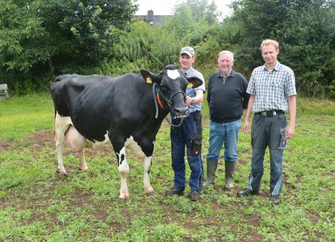 In dem für Töchter des erfolgreichen Vererbers Juwel typischen Erscheinungsbild präsentierte die Familie Sölzer aus Gudens-
berg kürzlich ihre elfjährige Luna nach Überschreiten der 100 000 Liter-Grenze. Auf der Mutterseite waren mehrere Generationen erstklassige Milchleistungen nachgewiesen und mit einem Durchschnitt von 12 402 – 3,27 – 3,13 bei sieben Laktationen zeigt die Kuh ein charakteristisches Leistungsbild für Töchter dieses Vererbers. Auch bei ihren Exterieurmerkmalen zeigt sie häufig das zu sehende Bild: eine gut mittelrahmige, sehr edle Kuh mit besten Fundamenten und einem nach wie vor gutsitzenden Euter. Nicht nur der Stall der Familie Sölzer ist aufgrund seiner Nähe zur Autobahn häufig zu sehen, sondern auch eine beachtliche Anzahl an Kunden hat sicherlich im Verlauf der letzten Jahre Milch von Luna über die Milchtankstelle anteilig erworben. Dabei hat auch so mancher Kunde gesehen, wie gut die Kühe in diesem modernen Stall untergebracht sind und sein Vorurteil über die „Massentierhaltung“ von Kühen in Laufställen revidieren können, da ist sich die gesamte Familie Sölzer einig. 
Text/Foto: Grünhaupt, LLH Kassel
