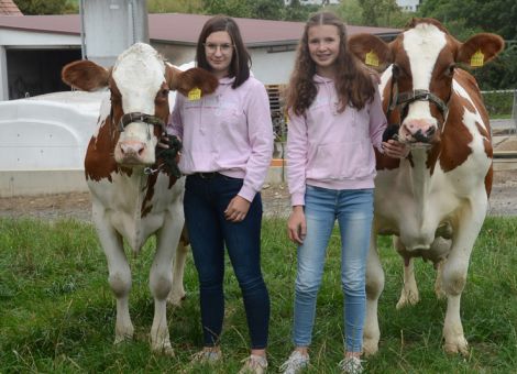 Seit langer Zeit gehört der Rotbuntzuchtbetrieb der Familie Woltert im Lauterbacher Ortsteil Sickendorf zu den beständigsten und erfolgreichsten Beschickern des örtlichen Prämienmarktes. Von den zwei aktuell 100 000-Liter-Kühen hat die Classic-Tochter Elaine mehrfach erfolgreich in Lauterbach teilgenommen und sich als sehr solide, dauerhafte Kuh mit einem Mittel von 8 487 – 4,18 – 3,35 herausgestellt. Eine etwas andere Leistungsentwicklung hat die Stallgefährtin Aaltje von Chabrol, die mit einem Mittel von 7 Laktationen mit 12 441 – 4,20 – 3,49 gelistet ist. Beide stammen aus sehr soliden Mutterlinien und haben auch einiges an weiblicher Nachzucht hinterlassen, sehr zur Freude der gesamten Familie Woltert. Mit Recht vertraut die gesamte Familie auf ihre gut durchgezüchtete Rotbuntherde und nutzt von Beginn an das Selektionsinstrument KuhVision, um ein Höchstmaß an Sicherheit bei der Selektion der weiblichen Nachzucht auch in Bezug auf die Sekundärmerkmale zu haben. Dass diese sehr bedeutend sind, beweisen letztendlich die vorgestellten 100 000-Liter-Kühe. Damit sind insgesamt sehr gute Voraussetzungen gegeben, dass auch in Zukunft weitere erstklassige Tiere bei den verschiedensten Anlässen aus dem Zuchtbetrieb Woltert, Sickendorf, präsentiert werden können. 
Text/Foto: Grünhaupt, LLH Kassel