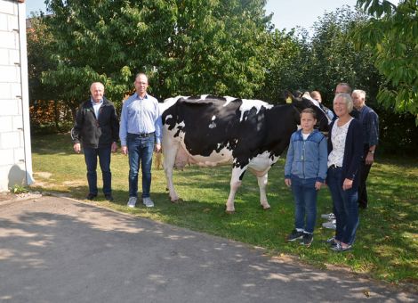 Der bekannte Zuchtbetrieb der Familien Schweinsberger und Dersch in Niederwald gehört seit Jahren zu denen, die mehrfach Kühe mit über 100 000 Liter Lebensleistung präsentieren konnten. Mit der Ashlar-Tochter Santina VG 85 wurde die 15. Kuh aus diesem Zuchtbetrieb vorgestellt, die diese nach wie vor herausragende Lebensleistung vorweisen kann. Wie nicht selten auf diesem Hof stammt Santina aus einer sehr hochabgesicherten Mutterlinie. Sie selber liegt bei acht Abkalbungen bei einer Durchschnittsleistung von 11 829 – 4,34 – 3,47 und ihre Mutter, die Mascol-Tochter Sierra, hatte vergleichbare Leistungsdaten bei ebenfalls acht Abkalbungen. Die Basis dieser Kuhfamilie liegt bei der Spitzenkuh Salve aus einer bekannten ostfriesischen Herde. Santina hat zusammen mit ihrer Mutter und Großmutter eine Lebensleistung von über 250 000 kg Milch vorzuweisen. Daran kann man leicht die Konstanz und auch die abgesicherte Genetik dieser Mutterlinie erkennen. Viel zu diesem Erfolg hat sicherlich auch das auf hohem Niveau umgesetzte Management bei der Zuchtstätte Schweinsberger/Dersch beigetragen, denn nicht nur die Versorgung der Kühe ist optimal, sondern es stehen für die einzelnen Bereiche wie Frischmelker und Kühe mit Erkrankungen entsprechende Strohbereiche zur Verfügung. Dies alles trägt auch ganz stark dazu bei, dass der Betrieb in den zurückliegenden Jahren einer der erfolgreichsten Verkäufer von Zuchtvieh sowohl bei Bullen als auch abgekalbten Rindern ist, und sehr viele zufriedene Kunden sich regelmäßig aus dem Angebot der Schweinsberger/Dersch GbR bedient haben.  Text/Foto: Grünhaupt, LLH Kassel