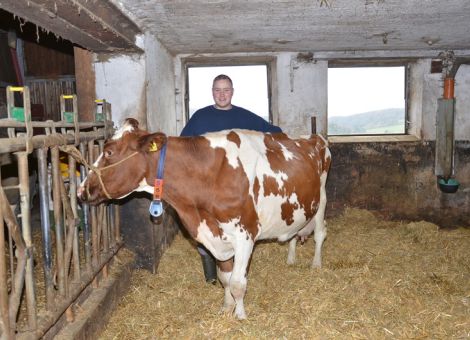 Im Stil einer typischen Dauerleistungskuh hat die Dominator-Tochter HBH Havanna GP 84 auf dem Hof der Familie Hamel in Buchenberg die 100 000-Liter-Grenze überschritten. Typisch für die väterliche Abstammung ist, dass die Milchmenge mit besonderer Konstanz ohne absolute Spitze erbracht wurde und der Durchschnitt mit 9 560 – 4,23 – 3,23 gelistet ist. Es gibt viel weibliche Nachzucht aus der Kuh und ihre älteste Tochter von dem Vererber Curtis hat bereits 80 000 Liter Milch produziert. Die Frische der Kuh, verbunden mit einem hervorragenden Euter lassen erwarten, dass Havanna noch einige Zeit im Stall der Familie Hamel Milch produziert und mit ihrer weiblichen Nachzucht dazu beiträgt, die Herde weiter zu entwickeln. „Mit der Beteiligung an dem Programm Kuh-Vision verfügt der Betrieb über umfangreiche Daten über den gesamten Gesundheitsbereich und die positiven Entwicklungen sind nicht zu übersehen“, fasst Junior Johannes Hamel seine Eindrücke zusammen.  Text/Foto: Grünhaupt, LLH Kassel