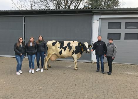 Die Liste der Kühe mit über 100 000 Liter Milch auf dem Hof der Familie Fehr in Wollrode wurde jetzt um die Akonnor-Tochter Arla erweitert, die mit ihrer Durchschnittsleistung bei zehn Abkalbungen von 9 512 – 4,72 – 3,60 zu den Kühen zählt, die auffallend hohe Inhaltsstoffe vorzuweisen haben. Diese Veranlagung ist auch bei ihren weiblichen Vorfahren festzustellen, die über viele Jahre auf vergleichbar hohem Niveau produziert haben. Kühe mit diesem Leistungsbild sind für das Management in der Herde durchaus von Vorteil, da sind sich Dirk und Kerstin Fehr einig und bringen natürlich auch einen höheren Auszahlungspreis bei der Molkerei. In der weiteren Abstammung tauchen die Bullen Progress und Cleison auf, die auf breiter Basis in den hessischen Milchviehbetrieben sehr solide Kühe hinterlassen haben und deswegen nicht selten in den Pedigrees von Lebensleistungskühen anzutreffen sind. Auch die bisherigen 100 000 Liter-Kühe auf dem Hof Fehr hatten hessische Besamungsbullen im Pedigree stehen und unterstreichen damit die Konkurrenzfähigkeit der heimischen Genetik auch in diesem Bereich.
Text: Grünhaupt, LLH Kassel/Foto: privat