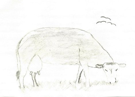 Die Kuh, die ihr hier auf dem Bild seht, heißt Kenia. Nayla (10 Jahre) aus Laubach-Wetterfeld hat dieses tolle Kunstwerk gezeichnet. 