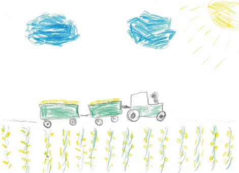 Felix (6 Jahre) aus Langenselbold hat dieses tolle Bild für die Kinderseite gemalt. Ihr seht darauf, wie der Mais an einem sonnigen Tag mit Traktor und zwei Anhängern abtransportiert wird.